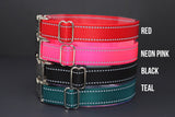 Personalized Reflective Endurance Collar
