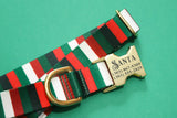 The Jolly Stripe Endurance Dog Collar
