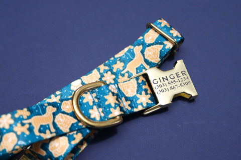 The GingerDOG Endurance Dog Collar