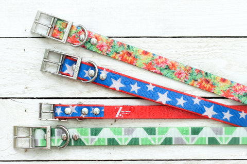 Waterproof Titan Dog Collar - Dirtproof, Stinkproof, Waterproof by Zaley Designs