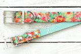 Waterproof Titan Dog Collar - Dirtproof, Stinkproof, Waterproof by Zaley Designs