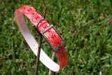 Expedition Ridge in Cayenne - Waterproof Titan Dog Collar - Dirtproof, Stinkproof by Zaley Designs