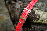 Expedition Ridge in Cayenne - Waterproof Titan Dog Collar - Dirtproof, Stinkproof by Zaley Designs
