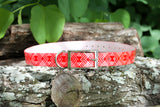 Expedition Ridge in Cayenne - Waterproof Titan Dog Collar - Dirtproof, Stinkproof by Zaley Designs