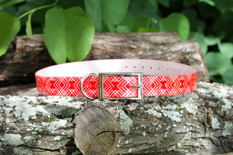 Expedition Ridge in Cayenne - Waterproof Titan Dog Collar - Dirtproof, Stinkproof by Zaley Designs