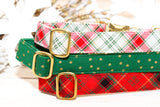 Green Stars Dog Collar