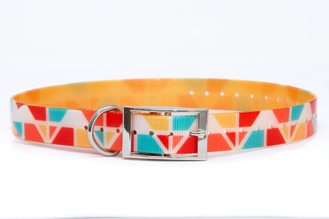 Sunset Summit Titan Dog Collar - Dirtproof, Stinkproof, Waterproof by Zaley Designs