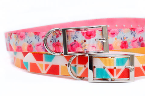 Sunset Geo & Floral Waterproof Titan Dog Collar - Dirtproof, Stinkproof, Waterproof by Zaley Designs