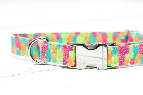 Pineapple Dog Collar