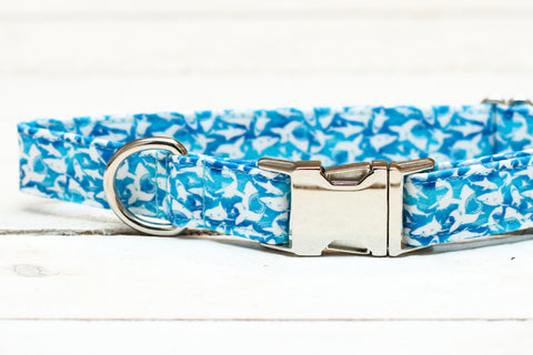 Sharks Dog Collar