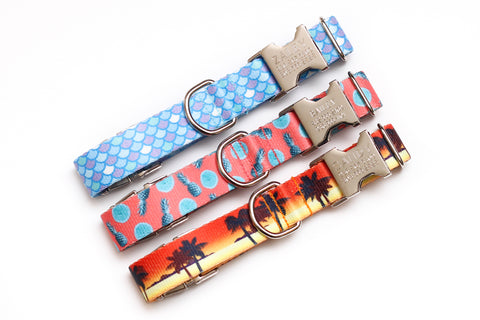 Tropical Endurance Collars