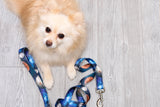 Space Endurance Leash