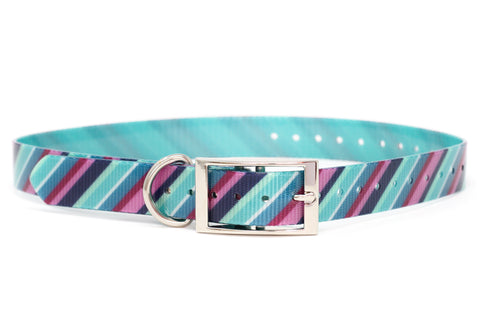 Fearless Ascent TITAN Collar