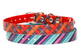 Fearless Ascent TITAN Collar