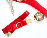 Red Velvet Dog Collar