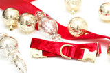 Red Velvet Dog Collar