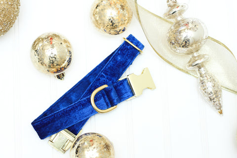 Royal Blue Velvet Dog Collar