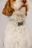 Nerdy Carrots Dog Collar