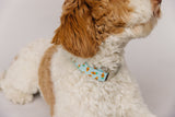 Nerdy Carrots Dog Collar