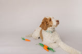 Nerdy Carrots Dog Collar