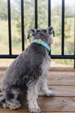 Sea Glass Aztec Dog Collar