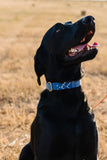 Navy Aztec Dog Collar