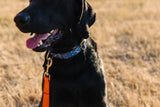 Navy Aztec Dog Collar