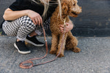 Paw Print Leopard Endurance Leash