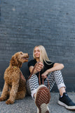 Paw Print Leopard Endurance Collar