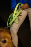 Reflective Endurance Leash