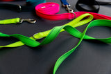 Reflective Endurance Leash