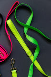Reflective Endurance Leash