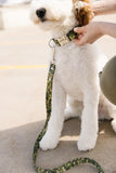 Paw Print Camo Endurance Leash