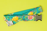 Teal Floral Dog Collar
