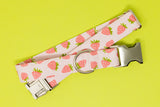 Strawberry Stripes Dog Collar