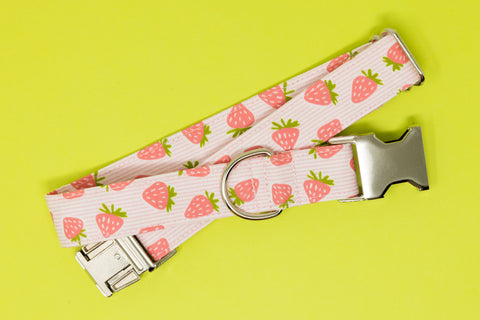 Strawberry Stripes Dog Collar