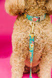 *5/8" Only* The Penny Floral Endurance Collar