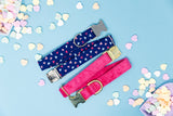 Hot Pink VELVET Dog Collar
