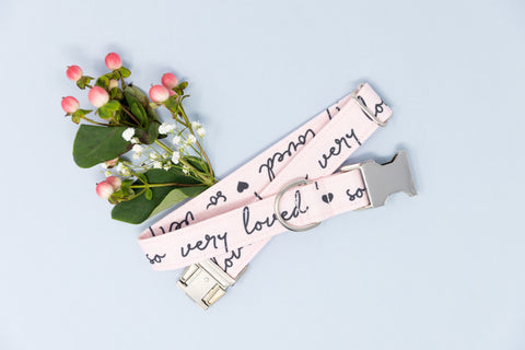 So Very Loved Light Pink Dog Collar