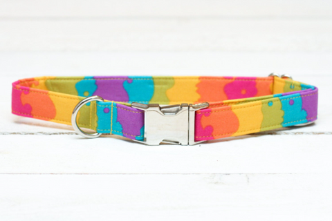 Rainbow Dog Collar