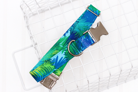 Blue and Green Palm Leaves Dog Collar
