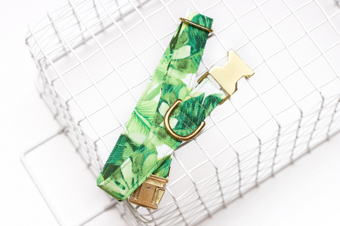 Monstera Leaf Dog Collar