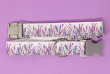 Lavender Fields Dog Collar