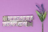 Lavender Fields Dog Collar