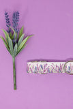 Lavender Fields Dog Collar