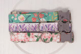 Lavender Fields Dog Collar