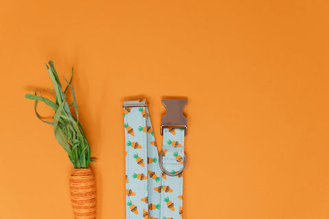 Nerdy Carrots Dog Collar