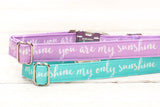 You are my Sunshine Dog Collar - Purple