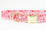 Pink Sharks Dog Collar