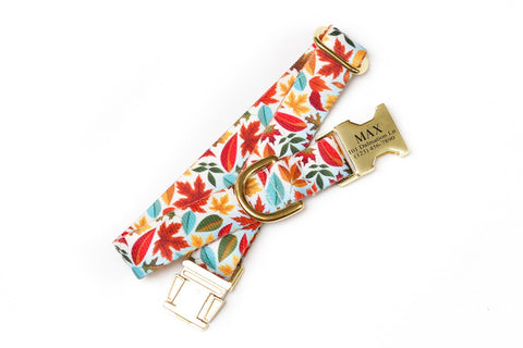 Autumn Leaves Endurance Collar